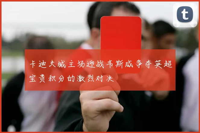 卡迪夫城主场迎战韦斯咸争夺英超宝贵积分的激烈对决