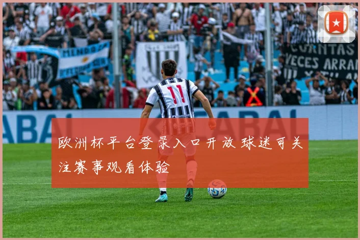 欧洲杯平台登录入口开放 球迷可关注赛事观看体验