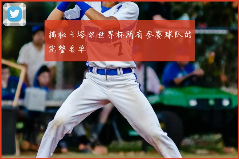 揭秘卡塔尔世界杯所有参赛球队的完整名单