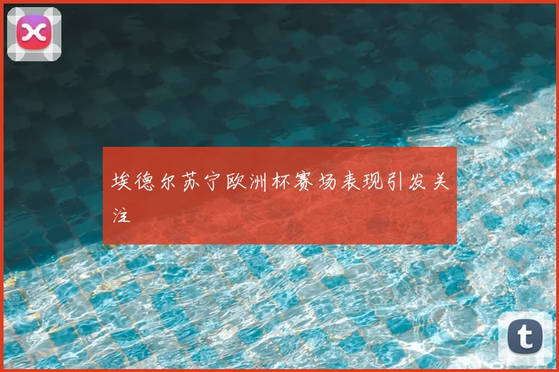 埃德尔苏宁欧洲杯赛场表现引发关注