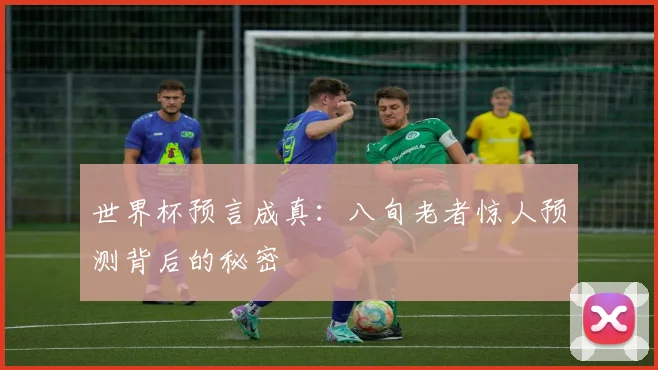世界杯预言成真:八旬老者惊人预测背后的秘密