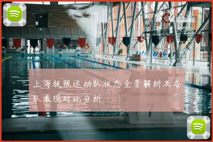 上海极限运动队状态全景解析及各队表现对比分析