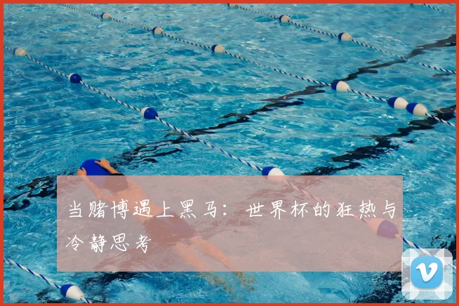 当赌博遇上黑马：世界杯的狂热与冷静思考