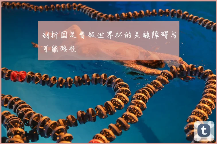 剖析国足晋级世界杯的关键障碍与可能路径