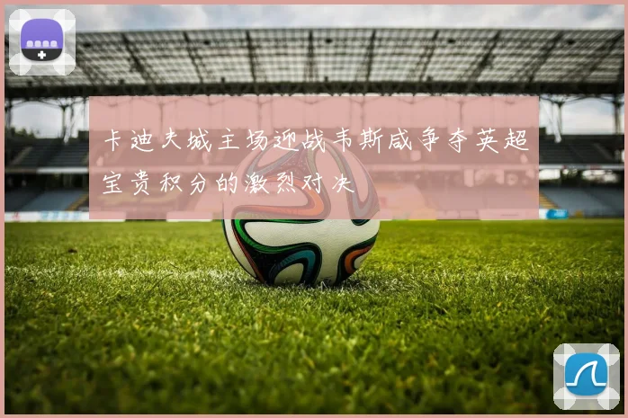 卡迪夫城主场迎战韦斯咸争夺英超宝贵积分的激烈对决