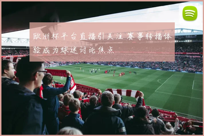欧洲杯平台直播引关注 赛事转播体验成为球迷讨论焦点