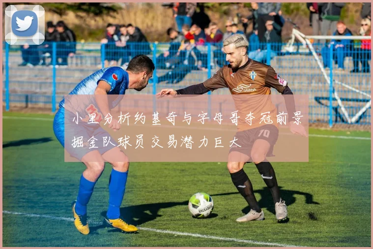 小里分析约基奇与字母哥夺冠前景掘金队球员交易潜力巨大