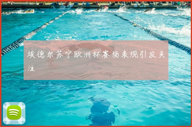 埃德尔苏宁欧洲杯赛场表现引发关注